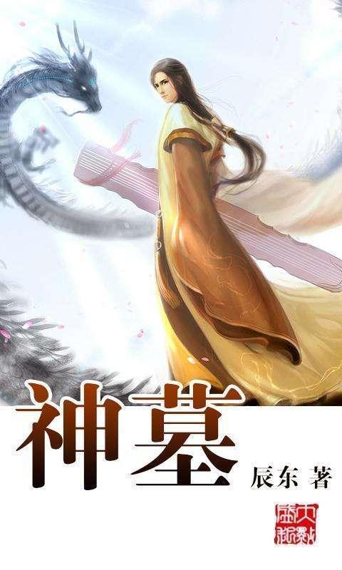 辰东的小说拍成网剧你看吗?仙路尽头谁为峰,一见无始道成空!