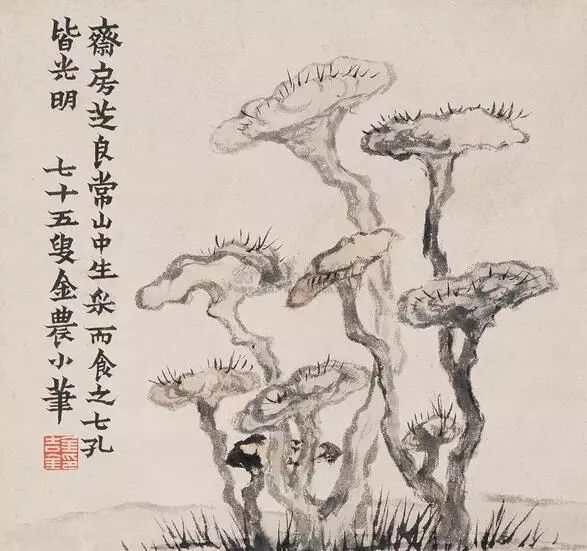 金农|一个不修边幅的书画家，一个才华横溢的旷世奇人