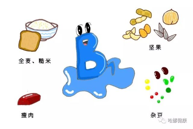 营养素|维生素|维生素b1|叶酸|维生素d|维生素b12|哈娜健康