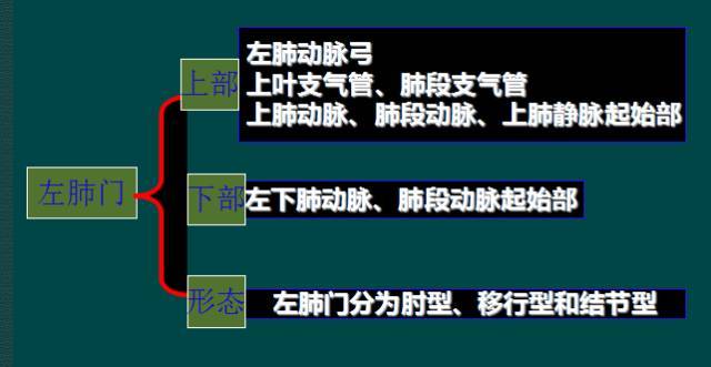 读完此文,终于学会看胸片了