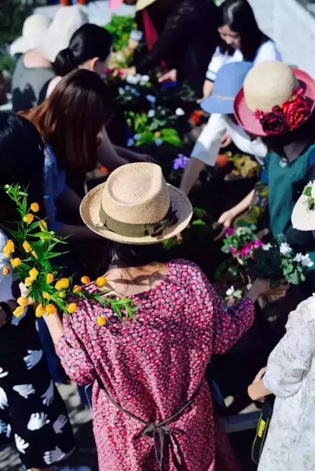 每年砸50w买花，“花痴”美女店主把100多种植物请到了自家院子里泰兴励步英语怎么样