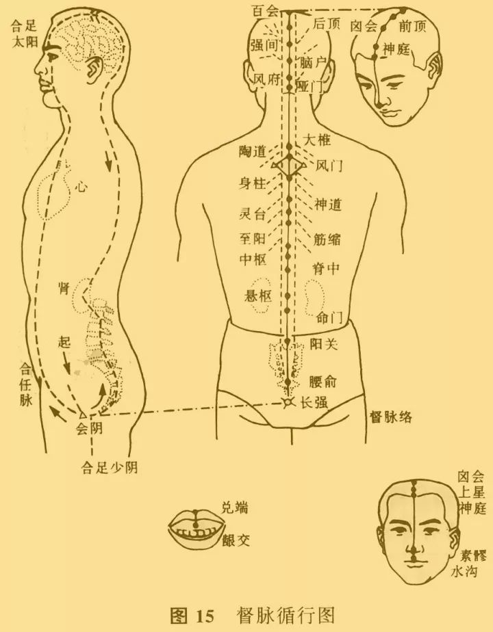全息刮痧法人体十二部刮痧改善体质好方法