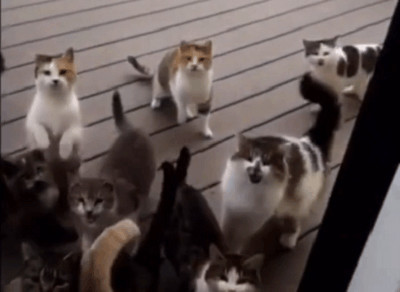 王者荣耀:又一波新图完美诠释敌我差距,我方中