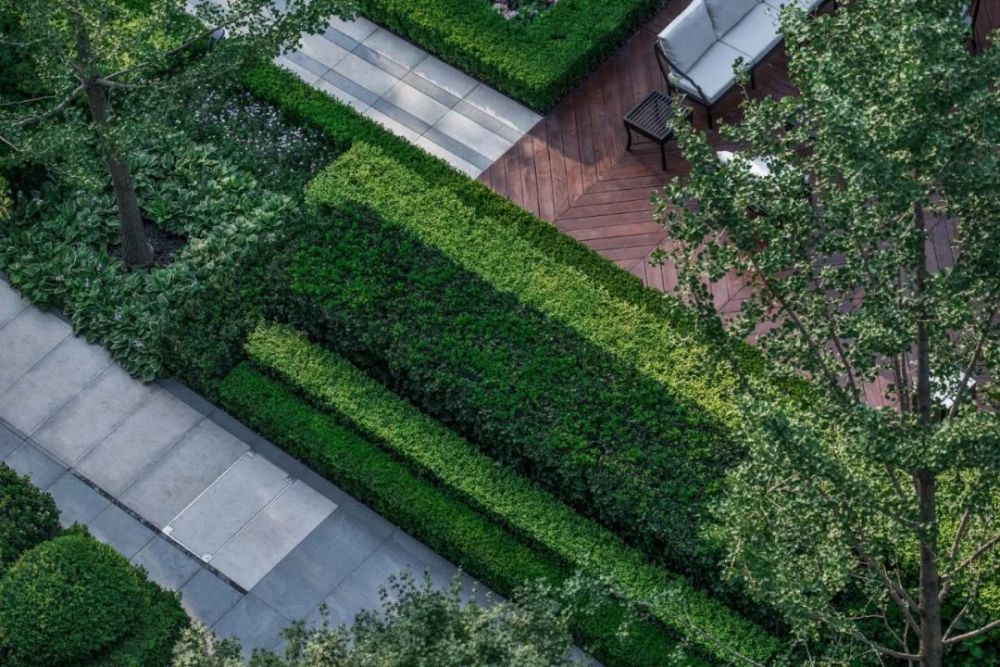 入户景观设计图