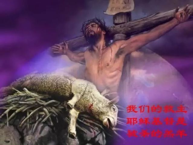 耶稣是神的羔羊是什么意思?