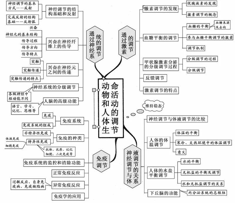 學霸整理20張生物思維導圖最全版本