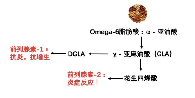 女性之友 月见草油到底有多厉害 腾讯网