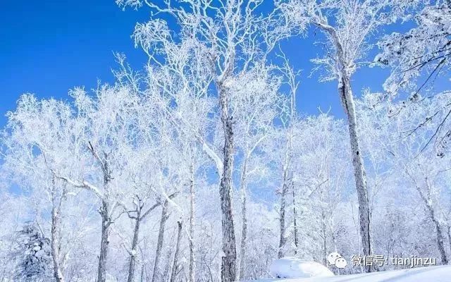 没有雪怎能叫冬天 这几个赏雪地简直美过 蓝月亮