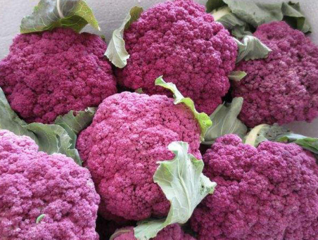 农名种植 紫花菜 市场上非常少见 不担心卖不出去 腾讯网