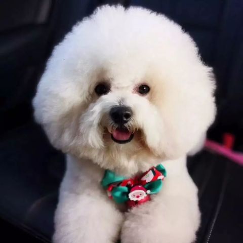 教师抱怨懈怠情绪弥漫,校长何为?