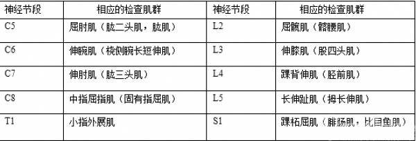 运动检查关键肌肉感觉检查关键点(神经检查部位和对应神经节段)脊柱体