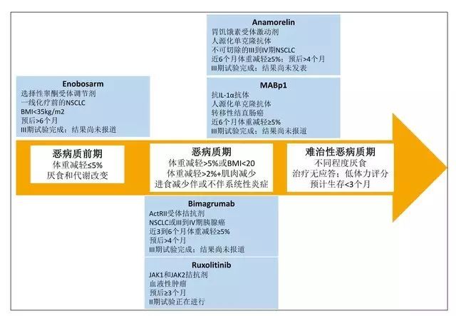 肿瘤恶病质 你只知道 体重降低 腾讯新闻