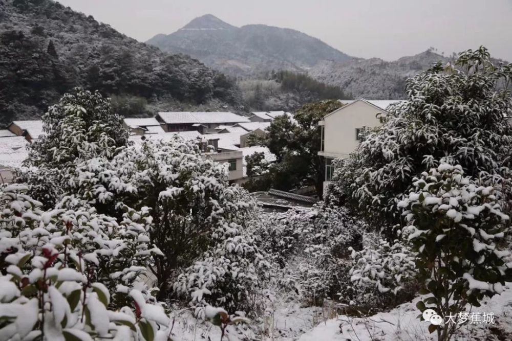 九都洋岸坂,石後小嶺村 金涵鄉上金貝村.