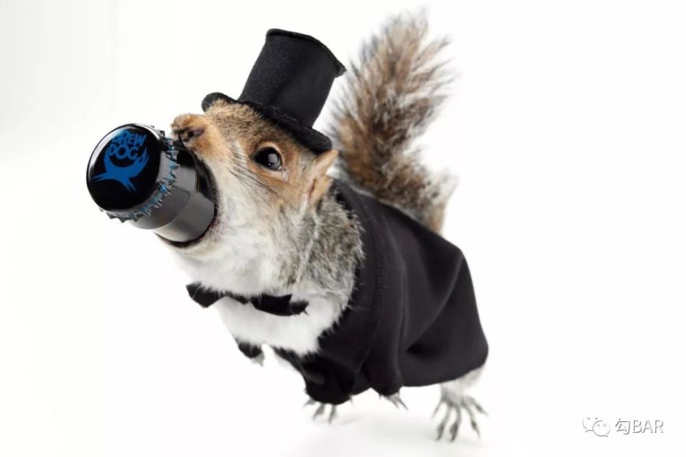 世界上度数最高的十款啤酒