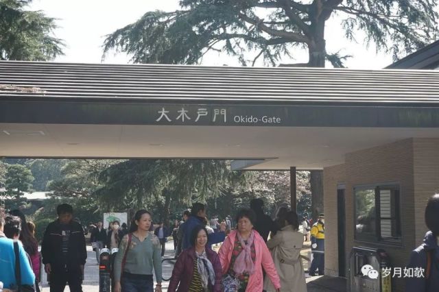 日本浪漫樱花之旅新宿御苑 上 腾讯网