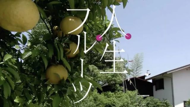 《人生果实》,一部暖心的记录片