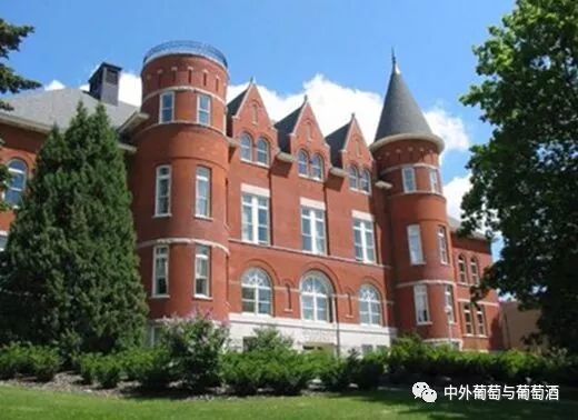 华盛顿州立大学qs%e_华盛顿州立大学,属于一级国家级院校(2)