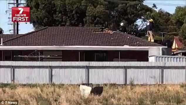 澳洲气候异常刮起龙卷风,蹦床被吹到天上砸坏