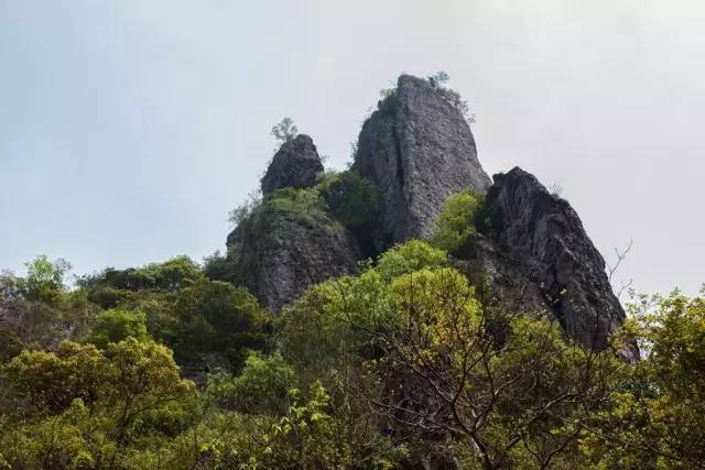 笔架山雌雄岩铡刀岩果盒岩路线指南温州方向出发的朋友,可在诸永高速