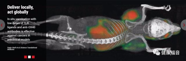 斯坦福免疫大牛开发的新型癌症疫苗让90只小鼠全部显示无癌!