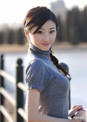 越南媒体眼中的中国著名艺术院校十朵金花 排