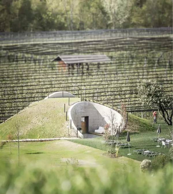 什么是覆土建筑?|精选16个覆土建筑项目