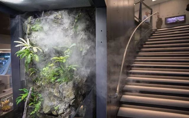 世界上只有两种办公大楼,一种是亚马逊的The 