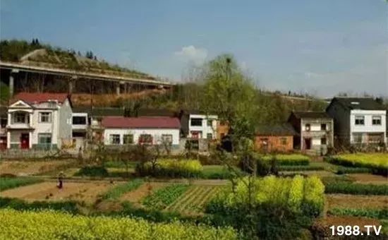 农村宅基地收费新标准,不交钱不准住,一年最多