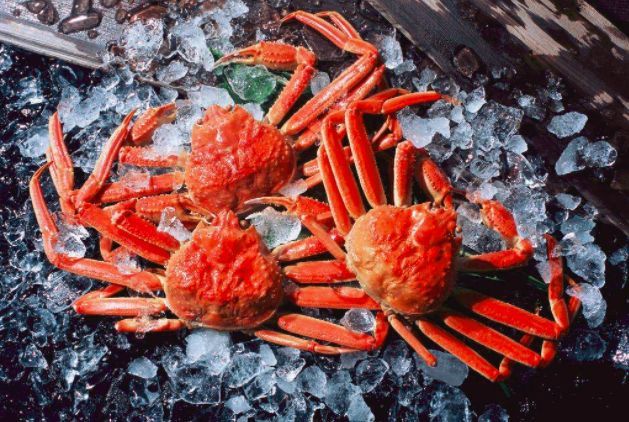 2. 淡水螺,小龙虾,黄鳝