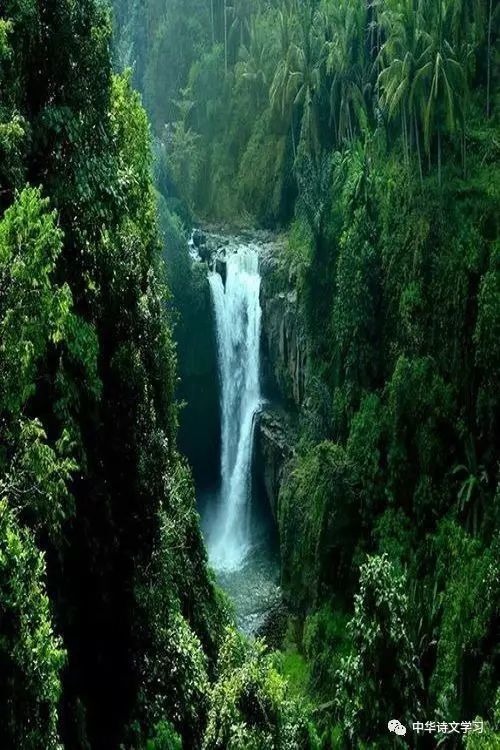 古诗词|古诗词中的夏日时光， 心静自然凉意生