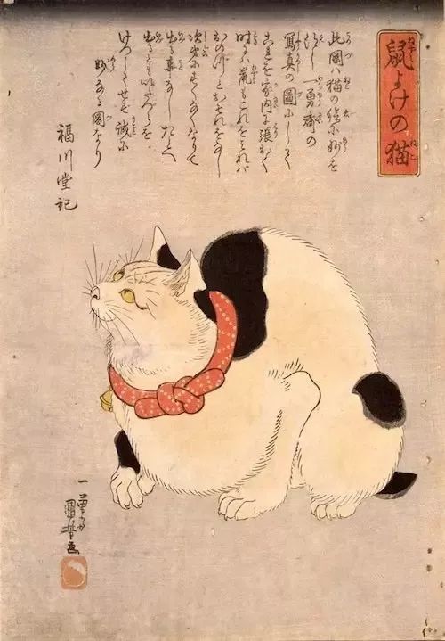 新登場 うちわ 歌川広重 浮世画譜 猫 raftinghouse.am