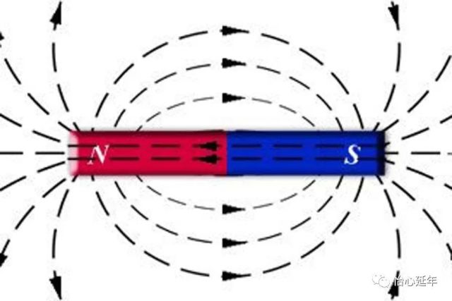 陈杏珍的散文——《物理情书》