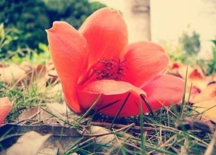 鼓励自己的经典语句 正能量的句子经典语句