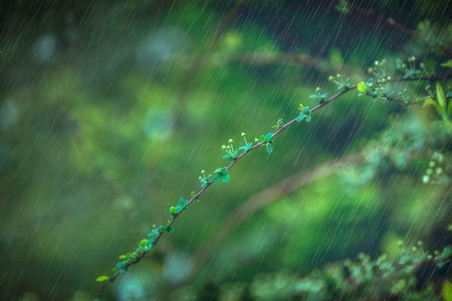 等一场春雨来 换回美好人间 腾讯新闻