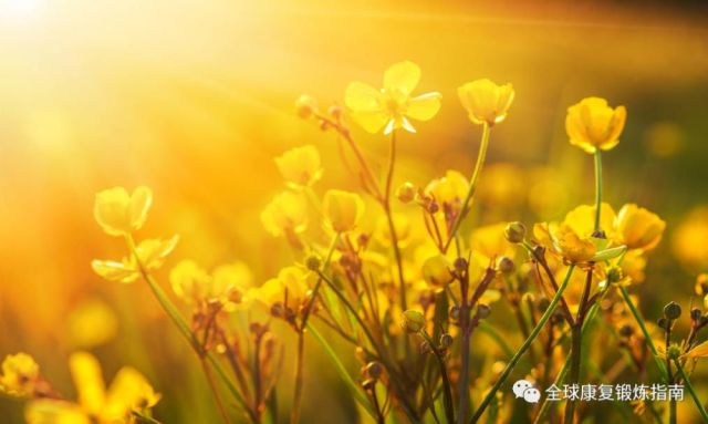 3个视频+图文教学:颈椎病康复锻炼及颈椎病指