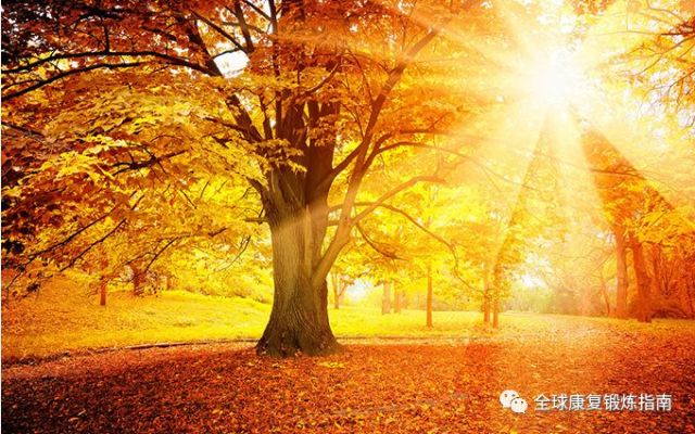 3个视频+图文教学:颈椎病康复锻炼及颈椎病指