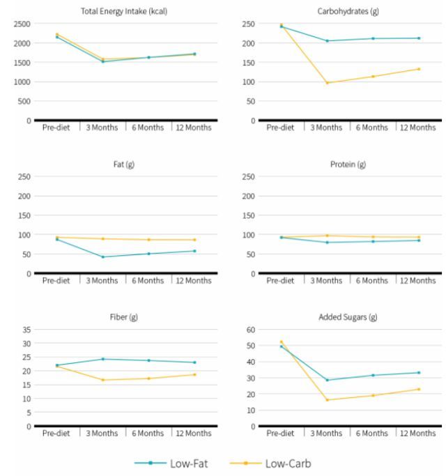 吃什么最减肥?耗资800万美金的研究告诉你
