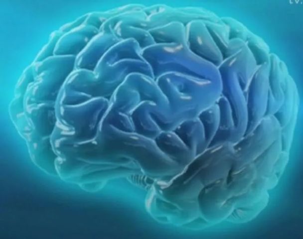 婴幼儿智护训练之新生儿篇