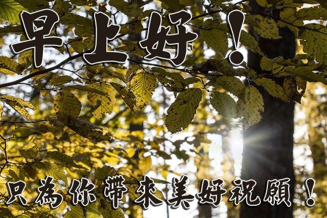 大家早上好祝福圖片帶字 2019很受歡迎的暖心問候動圖