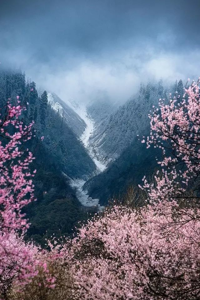 春天最美的11个瞬间