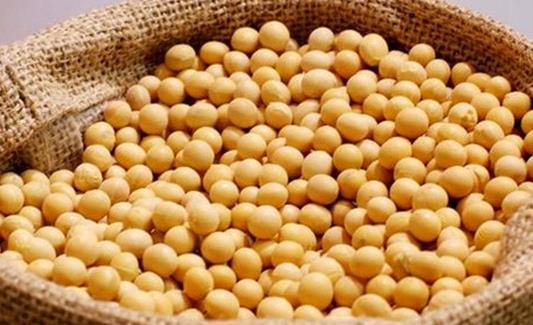 暖太龙大豆蛋白内衣_暖欣胶原蛋白图片