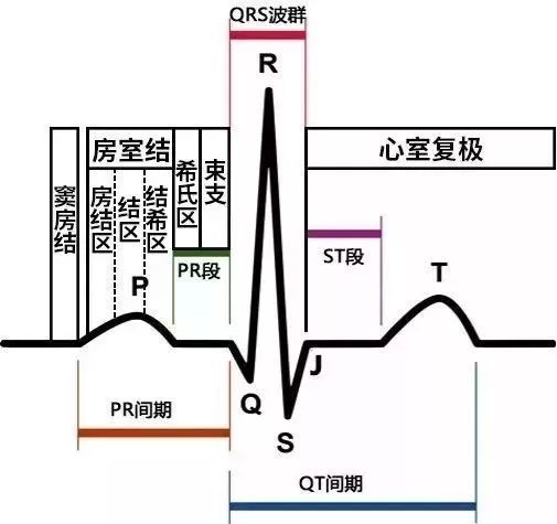 急性心梗发生后的3个月他的心电图发生了这些变化