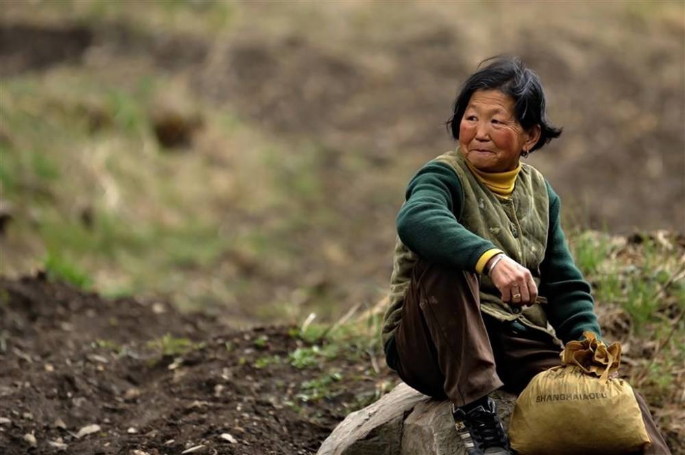 血缘关系|俗语：“姑死连着筋，姨死断了根”