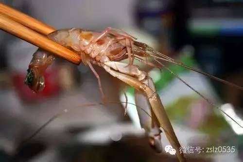 便宜又好吃莱州这种海鲜最肥美的季节要到了你爱吃吗