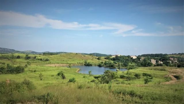 心湖·朗读│乡村振兴战略 以文化艺术的力量