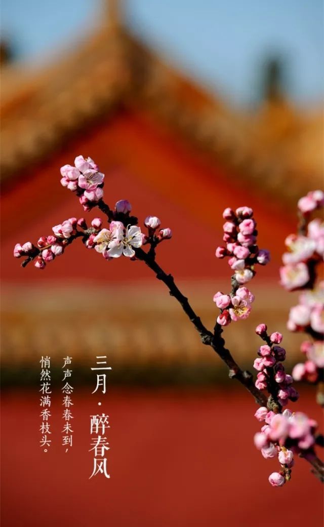 三月,醉春风!