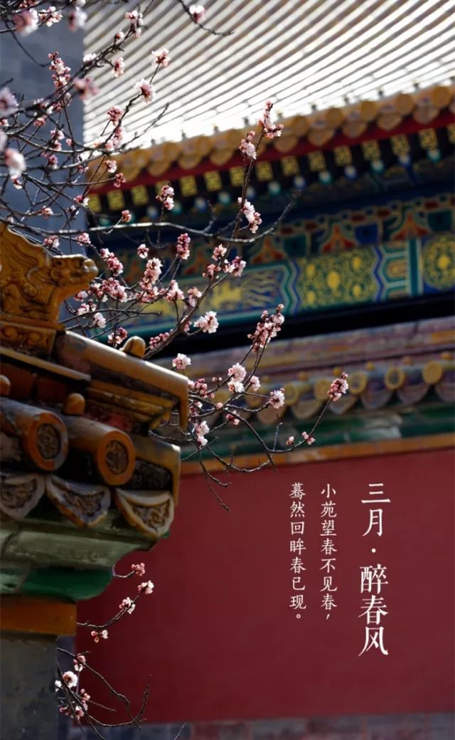 三月,醉春风!