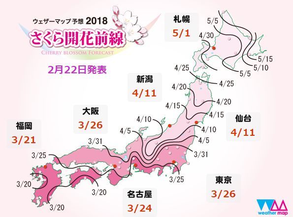 酒店机票被订光 去日本赏樱你只剩这一个选择 腾讯网