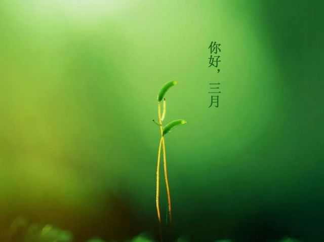 最新三月你好图片 发朋友圈唯美语录句子