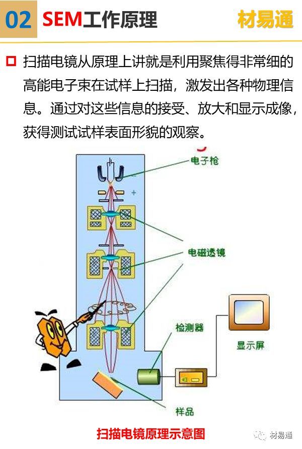 扫描电子显微镜示意图图片